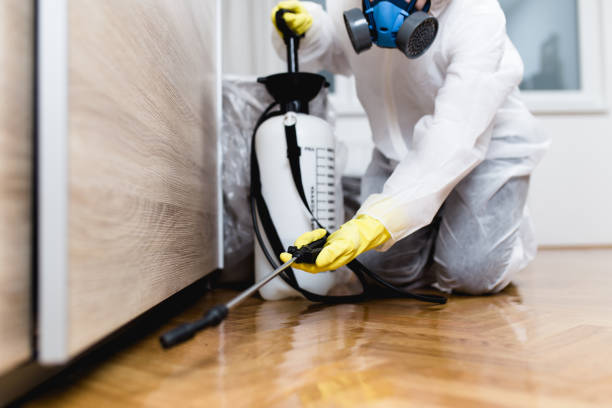 Best Affordable Pest Control Services  in Cumings, TX